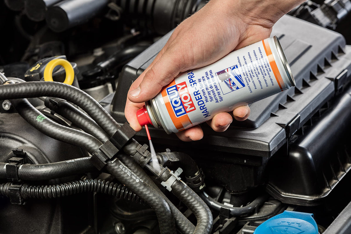 LIQUI MOLY Spray martore, 200 ml, Spray di servizio, SKU: 1515