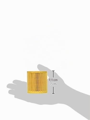 BOSCH Filtro olio 1457429249