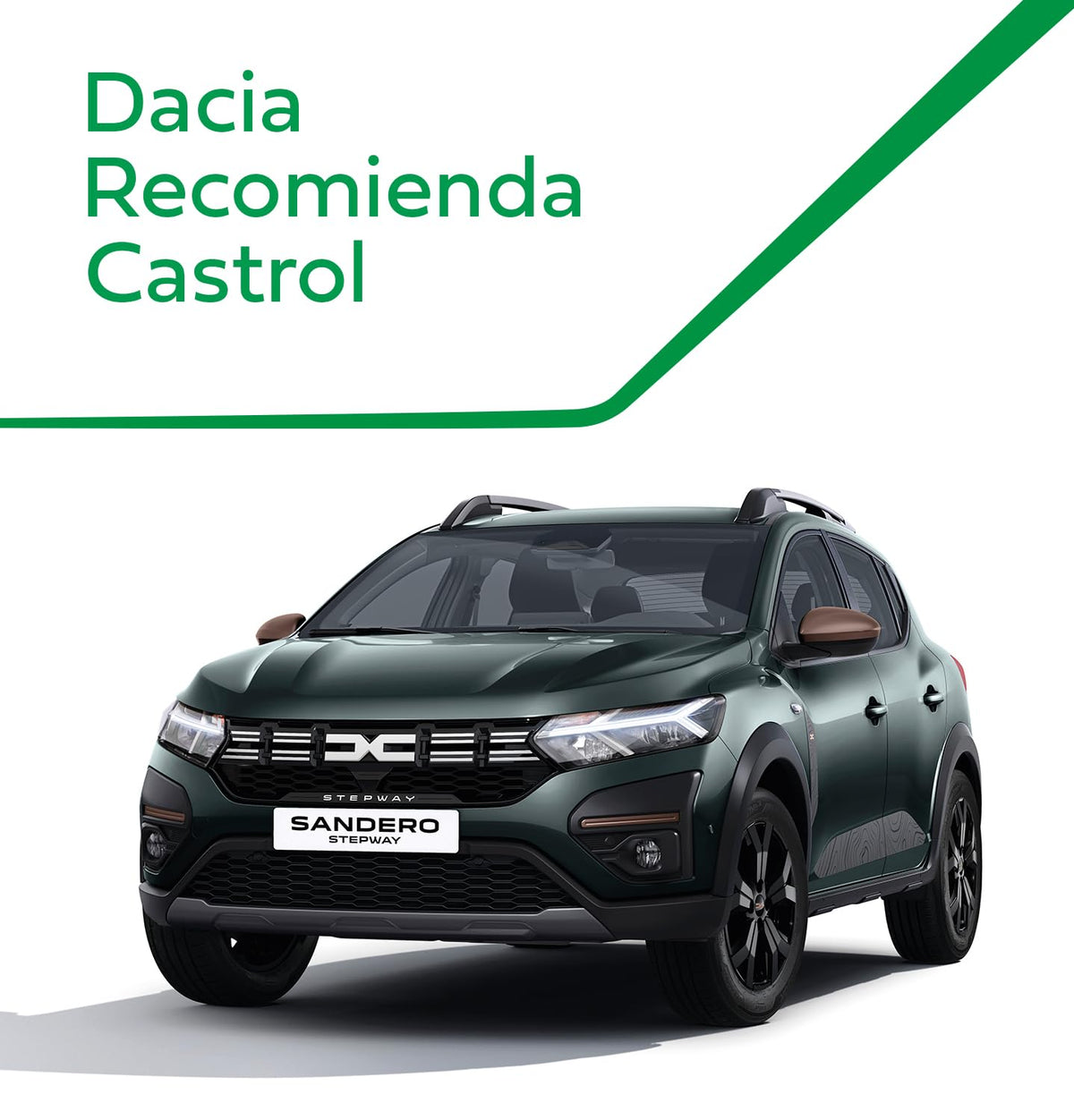 Castrol GTX 5W-30 RN17 Olio Motore per auto Totalmente Sintetico, 1L