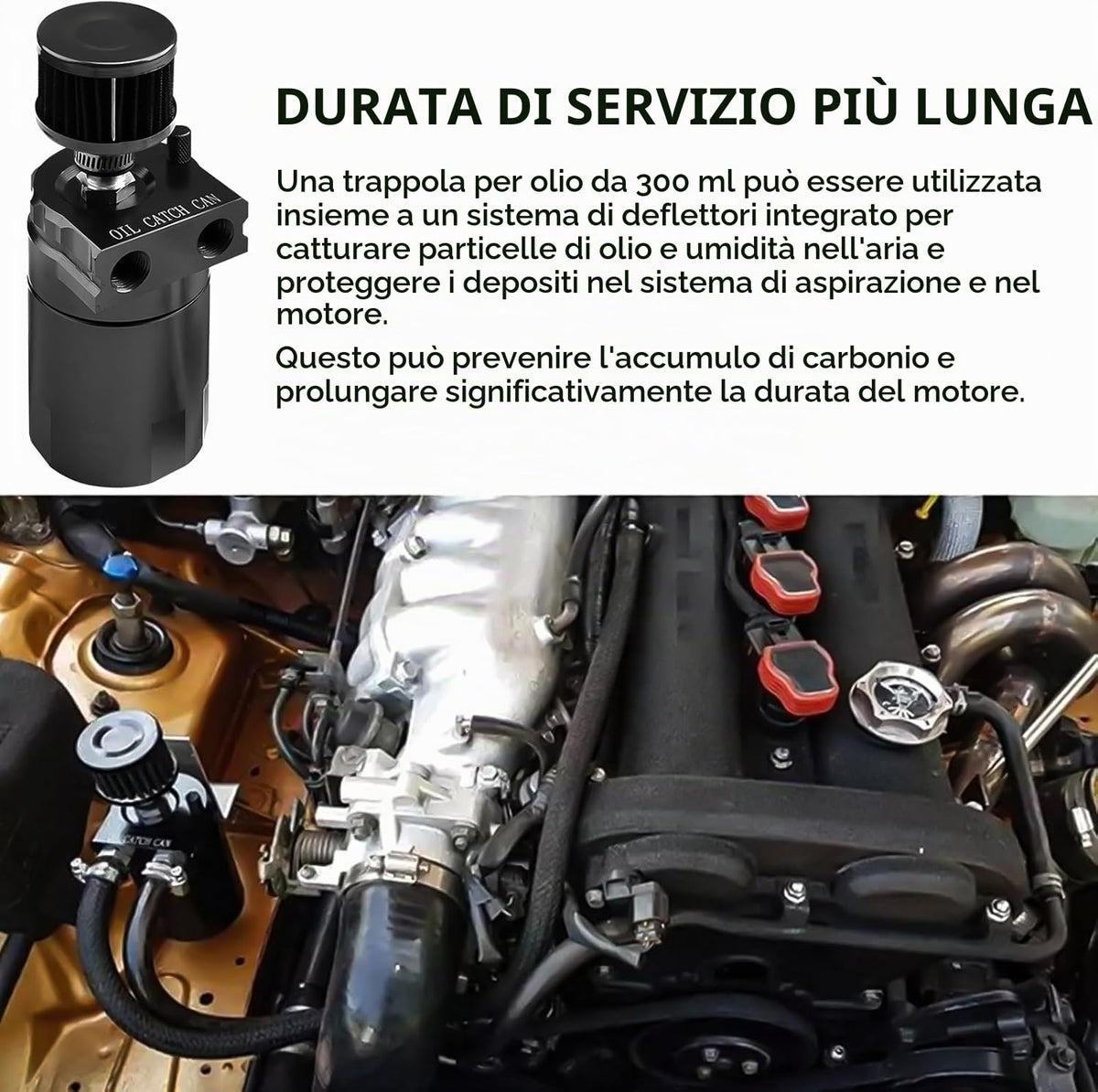 Aicharynic Serbatoio di raccolta dell'olio con filtro dell'aria, 400 ml, contenitore di raccolta dell'olio in alluminio, Oil Catch Tank, serbatoio per auto con accessori, linea carburante da 3/8