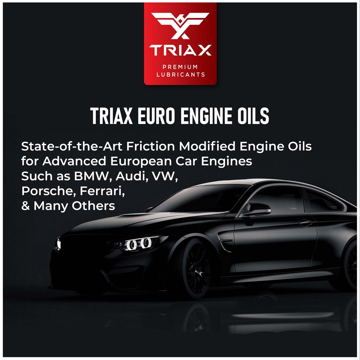 TRIAX Euro VX SAE 5W-30 Olio Motore Sintetico PAO Ester - Motori Benzina e Diesel con DPF e SCR - ACEA C3 API SP - VW/Audi 504.00 507.00 502.00 505.01 - BMW LL-04 - MB 229.51 229.31 (3 x 5 quarts)