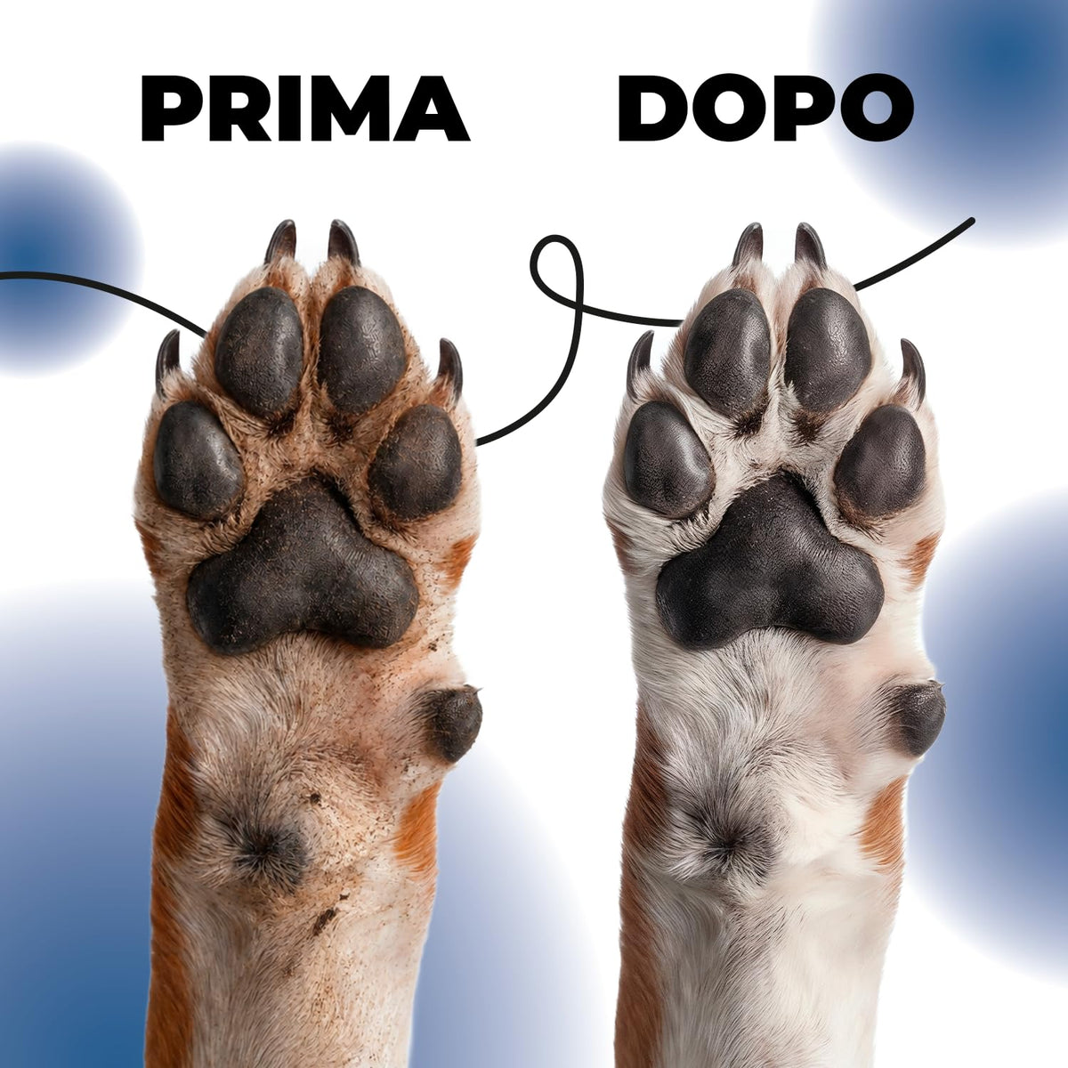 ErrecHome Pawsy Pulisci Zampe Cani e Gatti con Setole Morbide in Silicone