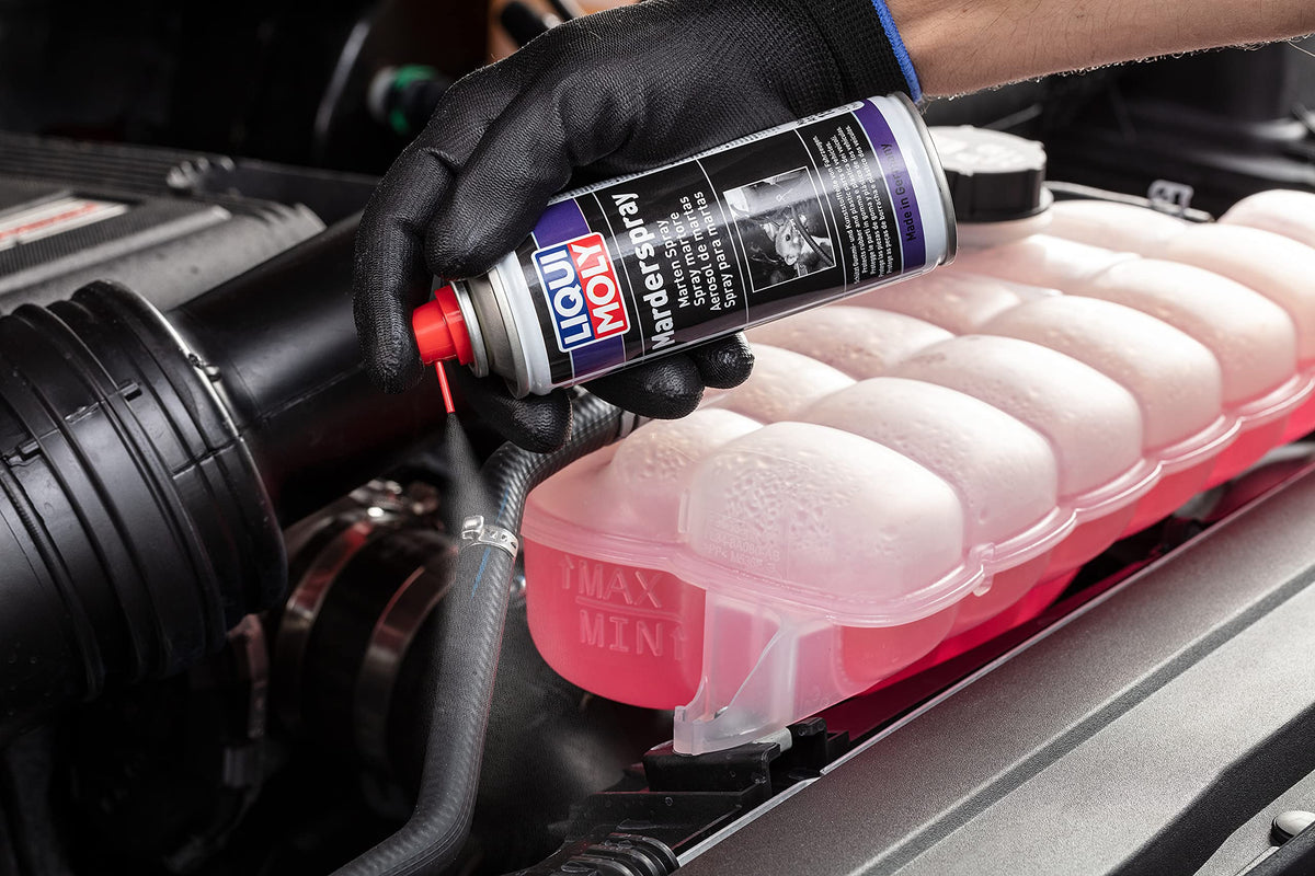 LIQUI MOLY Spray martore, 200 ml, Spray di servizio, SKU: 1515